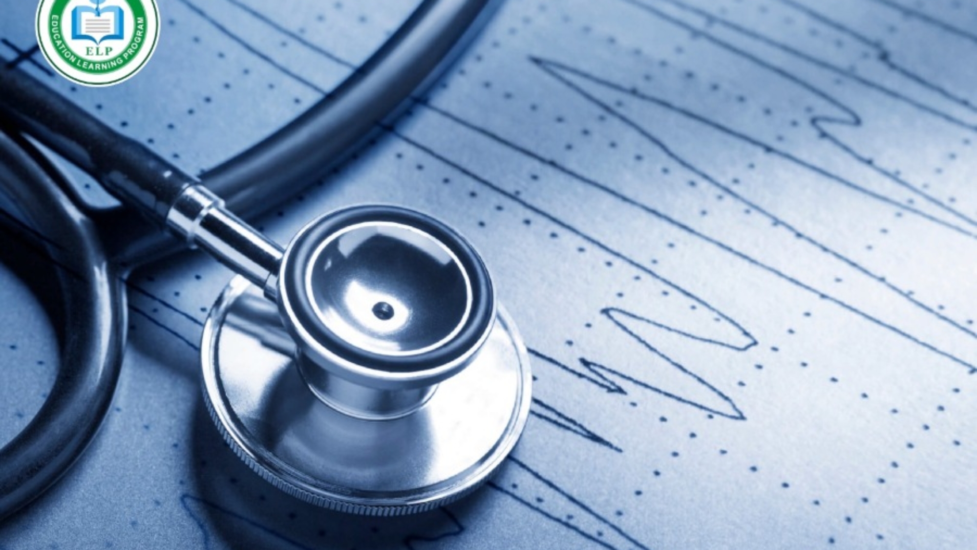 Echocardiogram Learning Course – Step Toward a Bright Career