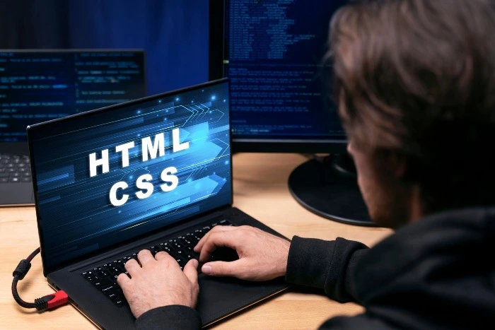 Web Developer Certification